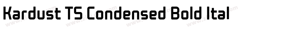 Kardust TS Condensed Bold Italic字体转换